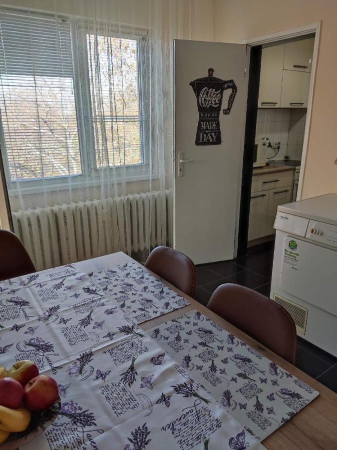 Ruse Park View Apartment Kültér fotó